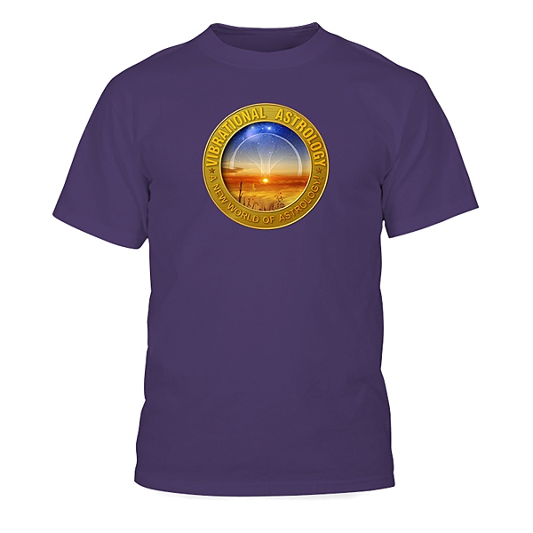 Vibrational Astrology T-shirt 4