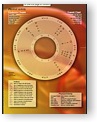 Physical Activity Chart Wheel